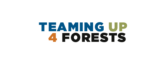 Teaming up 4 Forests