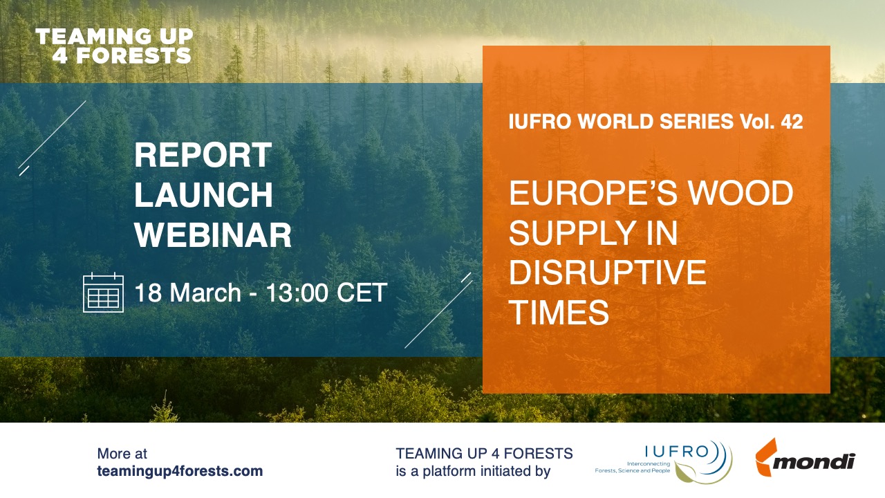 Webinar – Europe’s wood supply in disruptive times study report