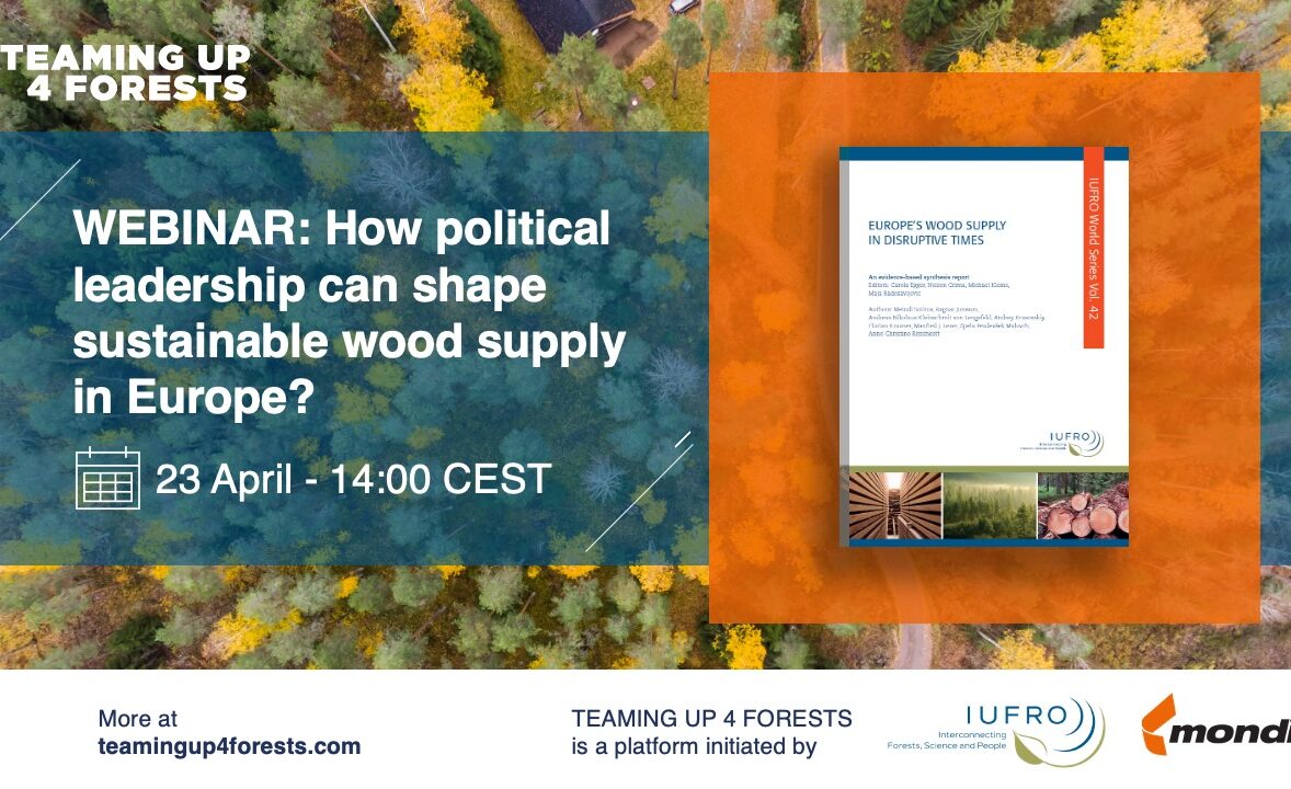 Webinar – How political leadership can shape sustainable wood supply in Europe