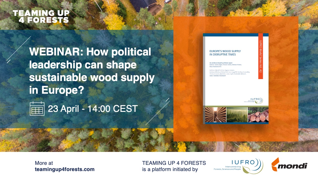 Webinar – How political leadership can shape sustainable wood supply in Europe