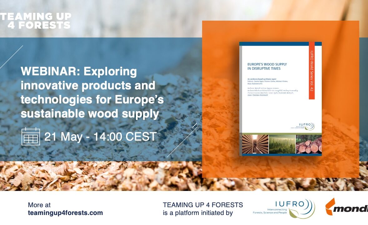 Webinar: Exploring innovative products and technologies for Europe’s sustainable wood supply