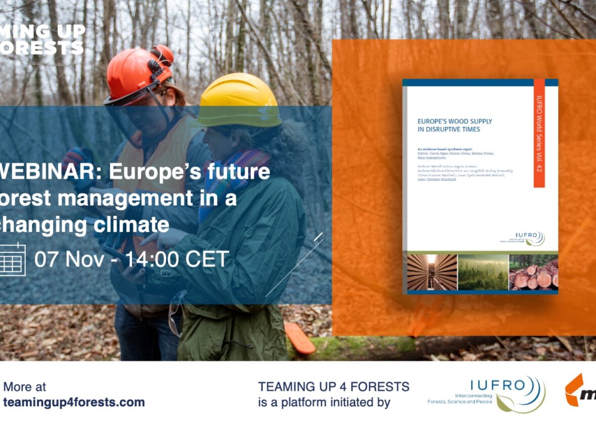 Webinar – Europe’s future forest management in a changing climate