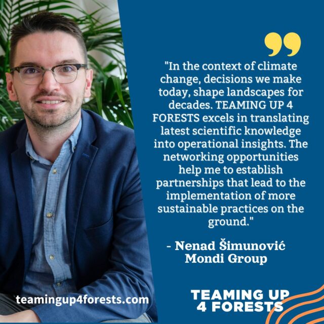 Nenad 3
