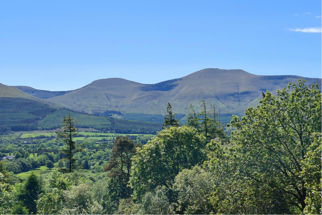 ‘What enables productive and biodiverse forestry in practice? Institutions, incentives and knowledge’