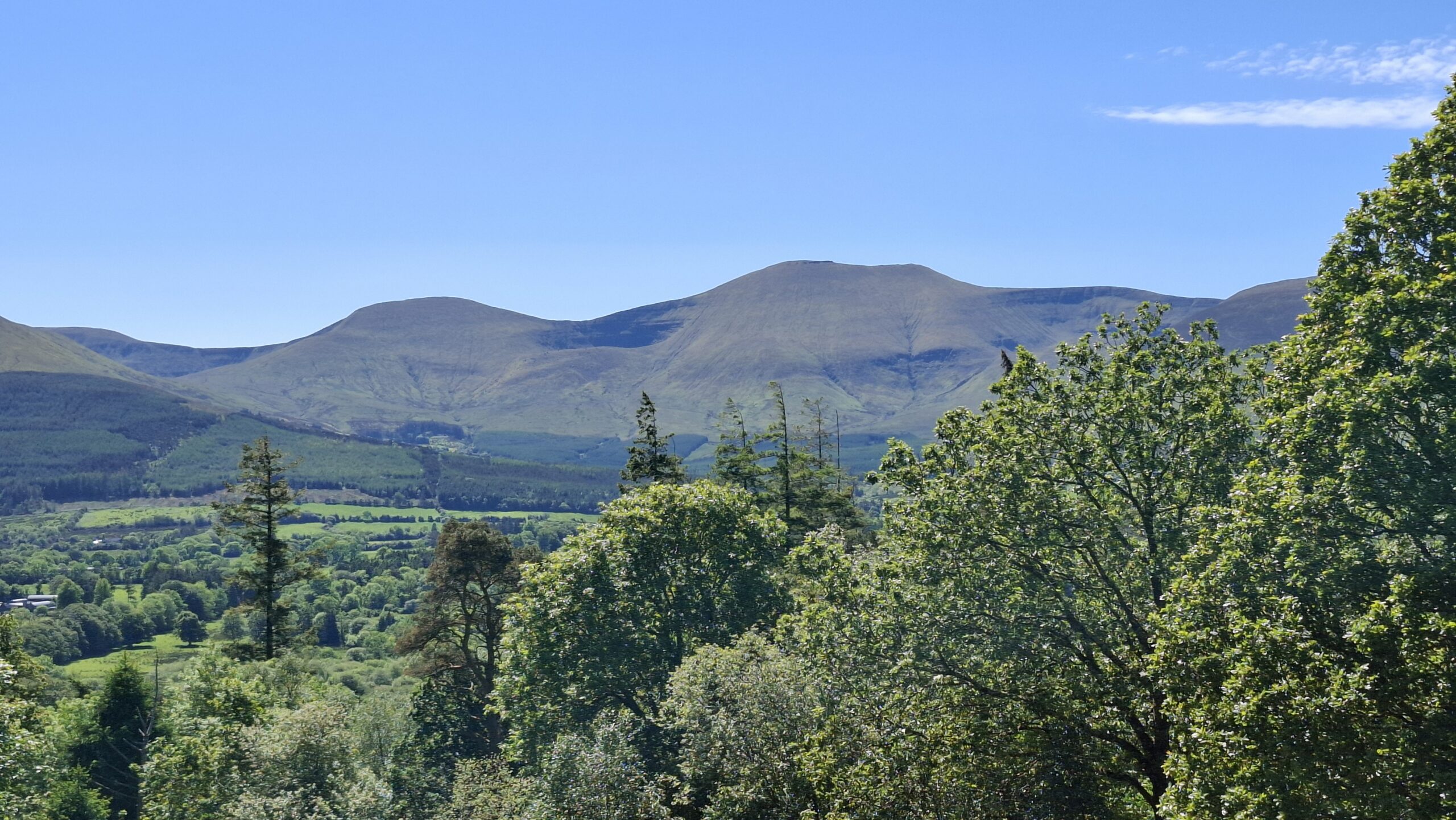 ‘What enables productive and biodiverse forestry in practice? Institutions, incentives and knowledge’